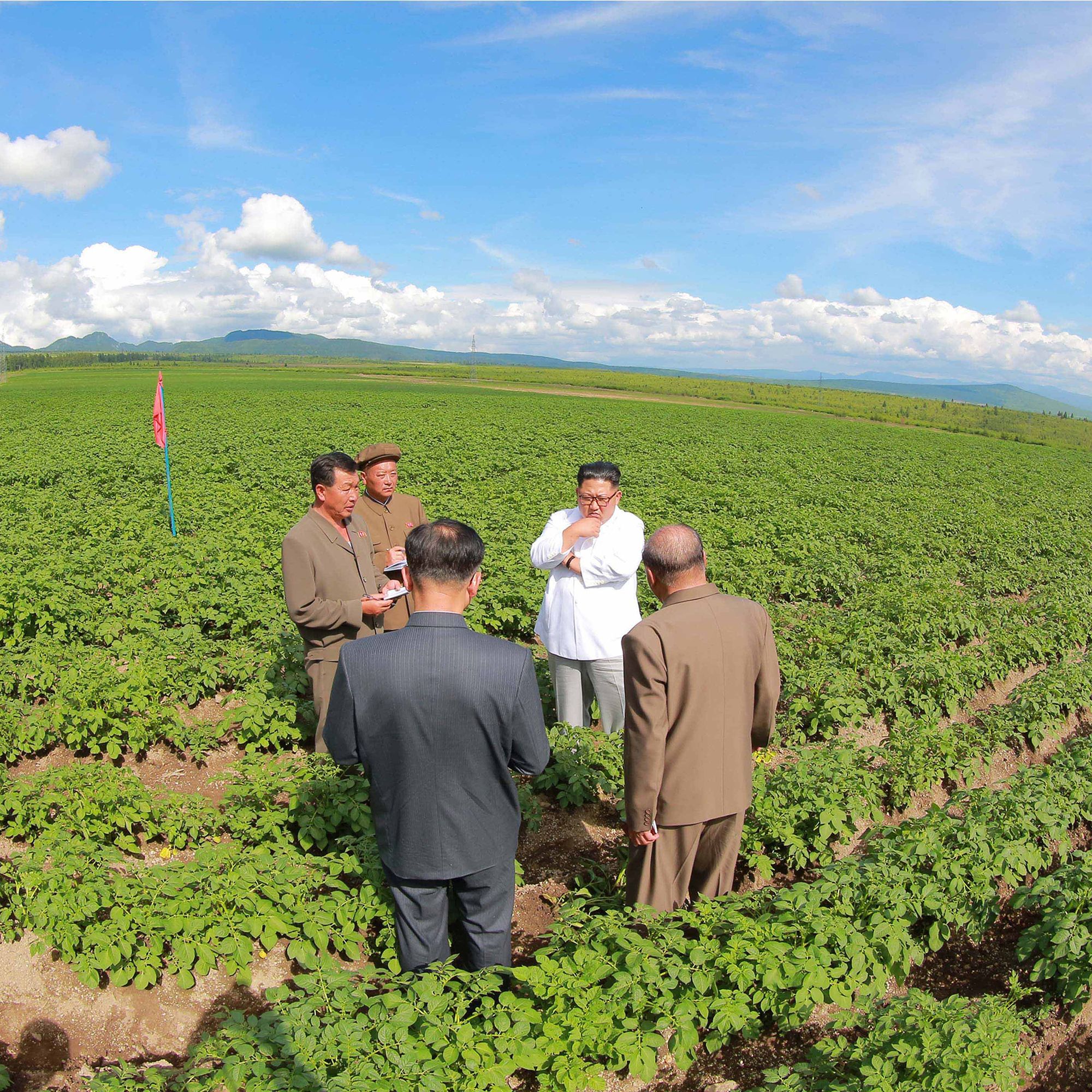 Supreme leader touring one the country`s beautiful vineyards.